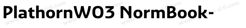 PlathornW03 NormBook字体转换